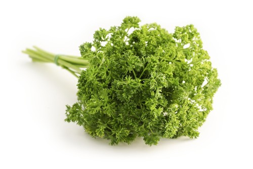 parsley-1665402.thumb.jpg.a9244ee751f9d78f58ad909fd340f613.jpg