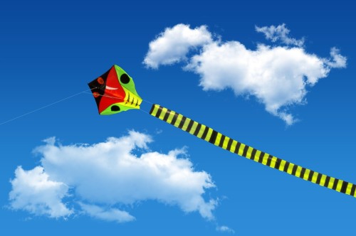 kite-1754071.thumb.jpg.af5c5bd93d68145c4a0d40f0f7407fec.jpg