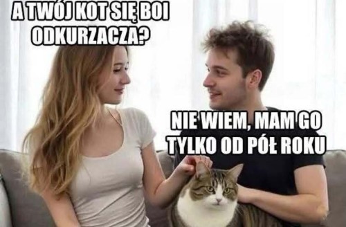 kotek.thumb.jpg.7a421b3be2ae8cf15f1925709b71e364.jpg