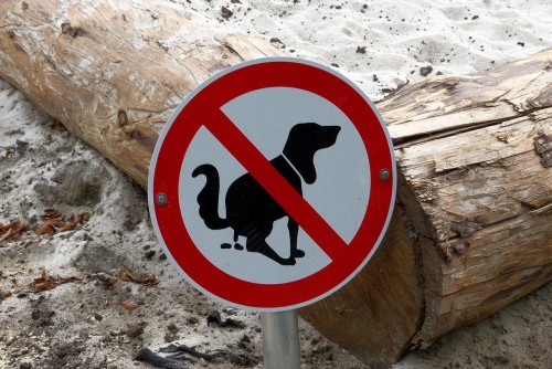 prohibitory-4724938.thumb.jpg.1eefb173366e31bd4c8617435cd739db.jpg