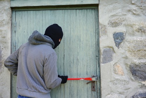 thief-1562699.thumb.jpg.e52ff861ef18d2cb8f6aee8389248248.jpg