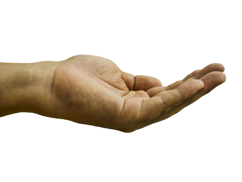 hand-1921036.thumb.png.8687bc1d5ffd71b233e5ae614ca366f9.png